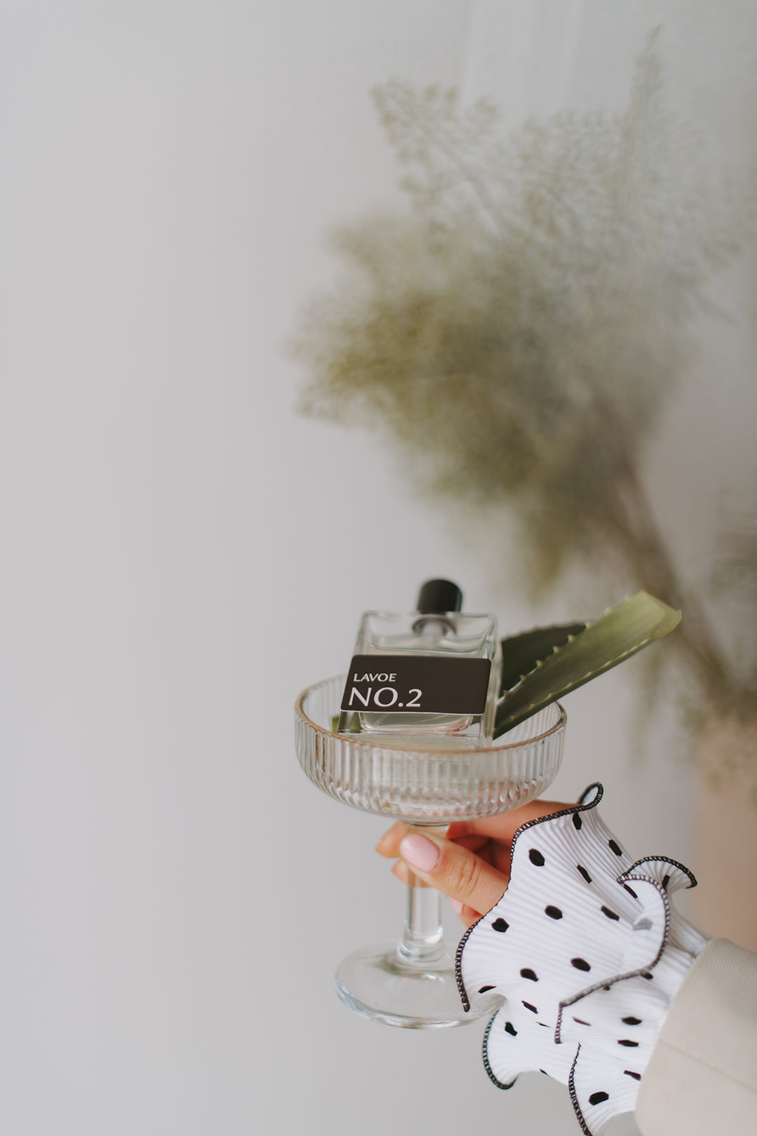 LAVOE-hair_perfume-ingredienten-aloevera